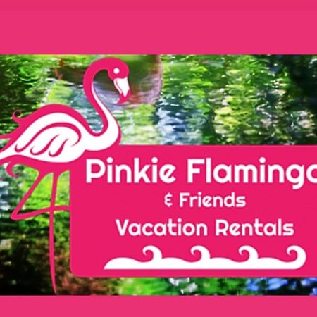Anna'S Beach House Walk-Out To 30A In Seacrest- Pet-Friendly Rosemary Beach Ngoại thất bức ảnh