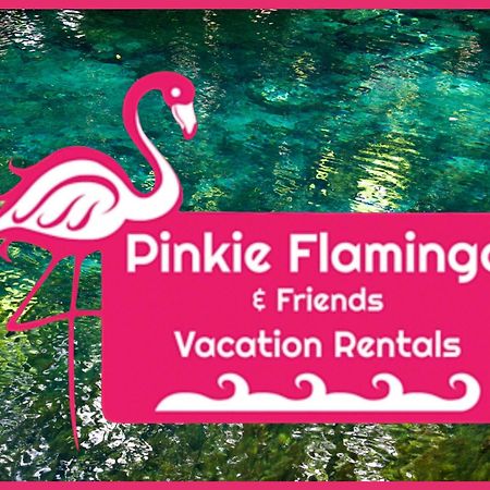 Anna'S Beach House Walk-Out To 30A In Seacrest- Pet-Friendly Rosemary Beach Ngoại thất bức ảnh