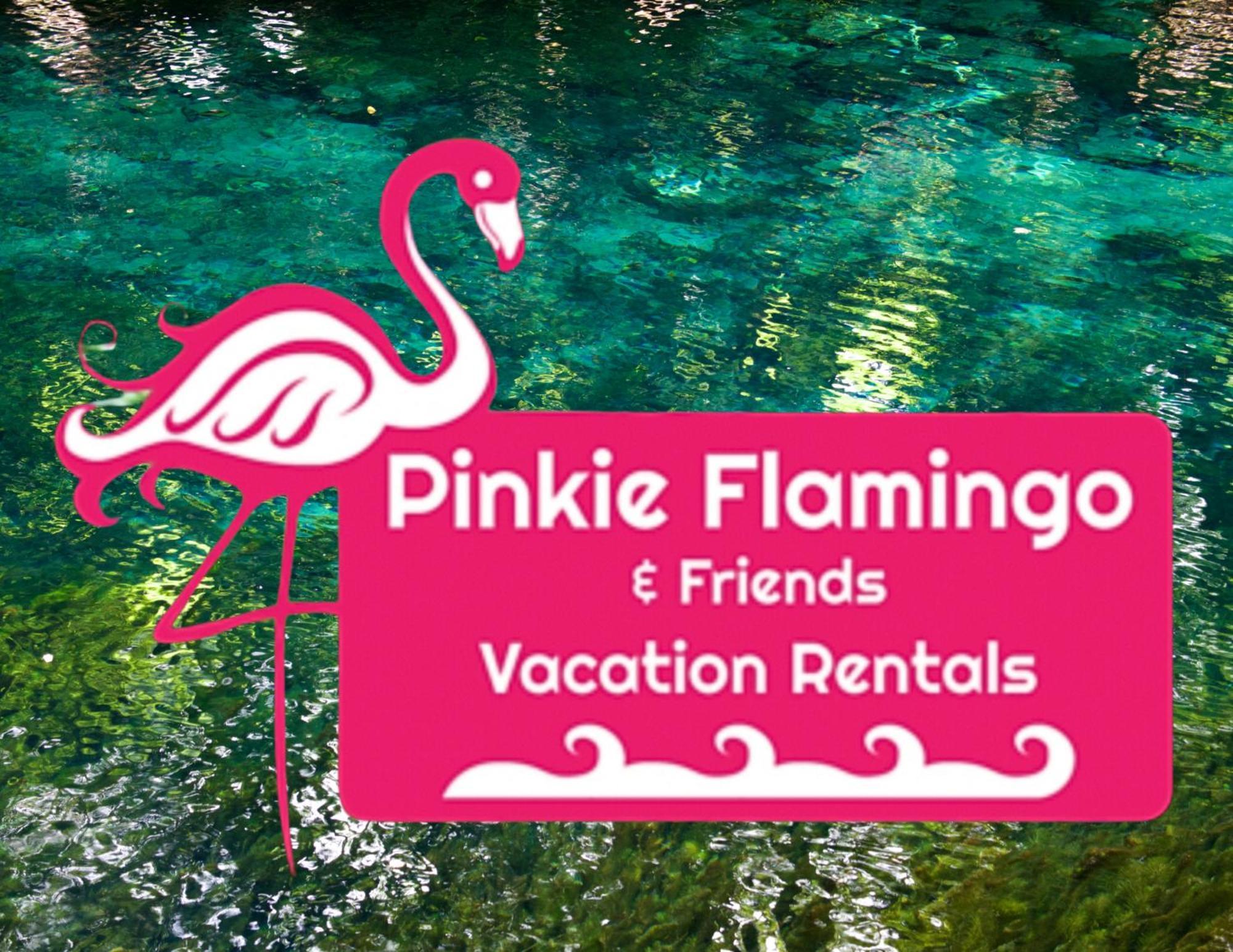 Anna'S Beach House Walk-Out To 30A In Seacrest- Pet-Friendly Rosemary Beach Ngoại thất bức ảnh